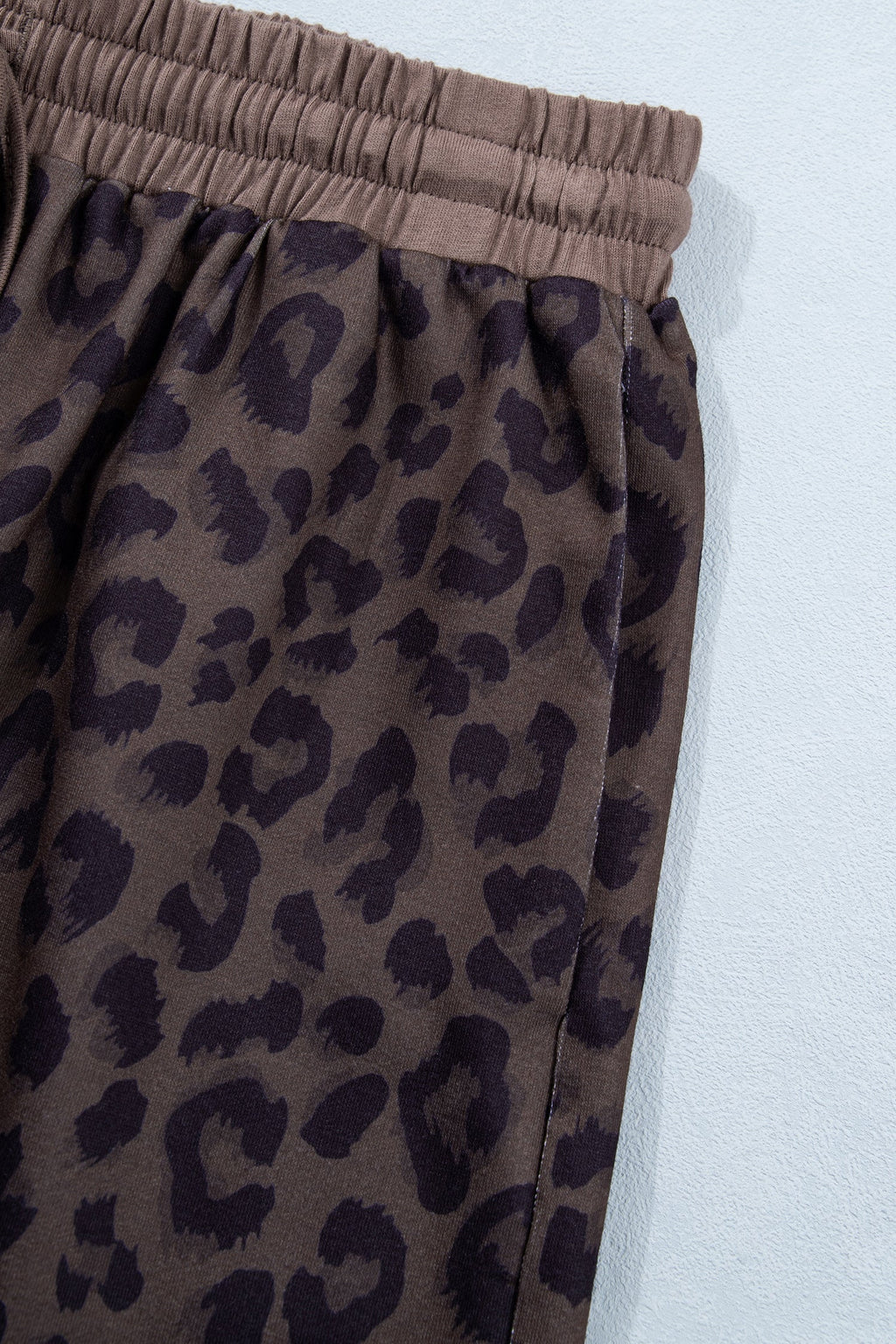 Leopard Collared V-Neck Top & Shorts Set