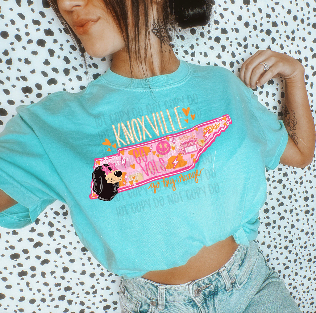 Preppy State Tees - Lagoon